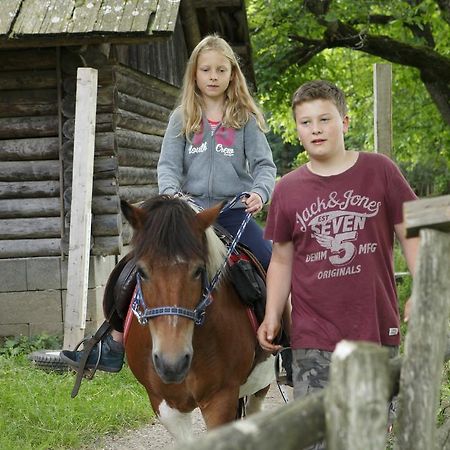 Allesbauer - Familie Preis Villa Trebesing Kültér fotó