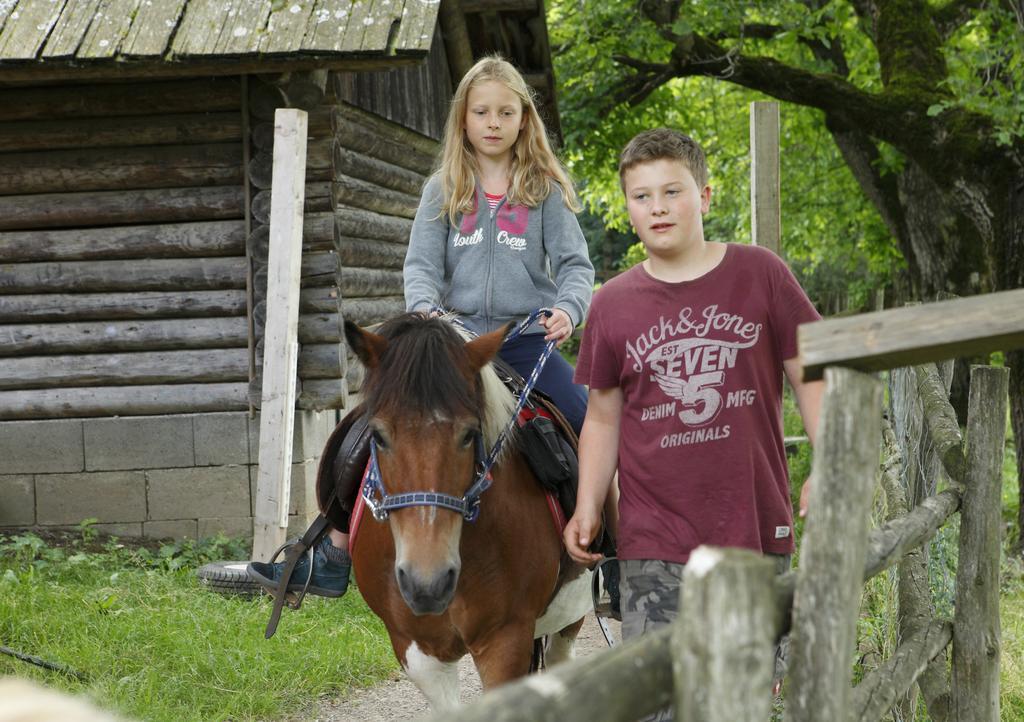 Allesbauer - Familie Preis Villa Trebesing Kültér fotó